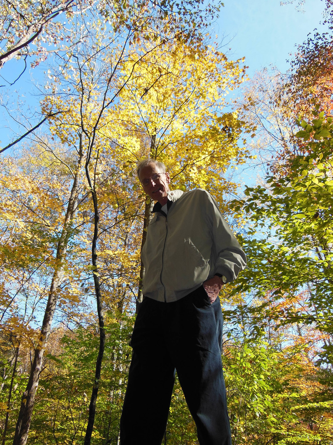 839 Milton Fall Trees 2013DSCN2268